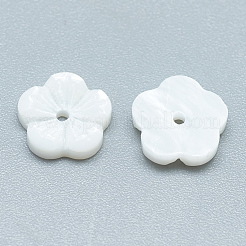 Бисеры из пресноводных оболочек SHEL-S275-015