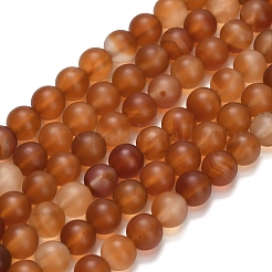 Природного сердолика нитей бисера G-L642-G01-6mm