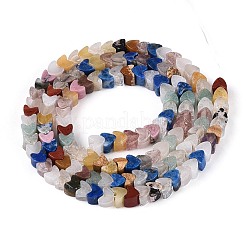 Природных драгоценных камней смешанного бисер нитей&nbsp;G-T143-32