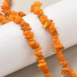 天然淡水シェルビーズ連売り  チップ  染め  ゴールド  6~16x4~8x1~7mm  穴：1mm  約97~157個/連  15.75インチ（40cm）&nbsp;BSHE-I016-01I