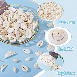 Наборы для самостоятельного изготовления украшений из натуральных ракушек DIY-BT0001-37