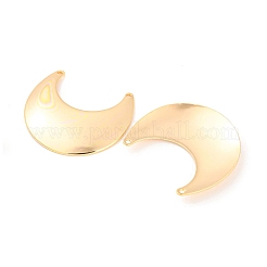 Латунные подвески&nbsp;KK-M261-20G