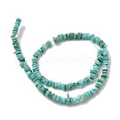 Бусины из натуральных пресноводных ракушек SHEL-B003-01B