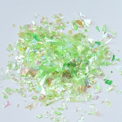 プラスチック製のキャンディスパンコール/スパンコールチップ  UVレジン封入パーツ  エポキシ樹脂ジュエリー作成用  ライム  2~20x2~16mm  約20 G /袋&nbsp;DIY-I019-01H