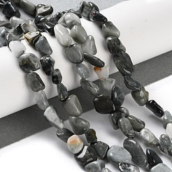 Натуральный орлиный глаз бусы&nbsp;X-G-P497-01C-52