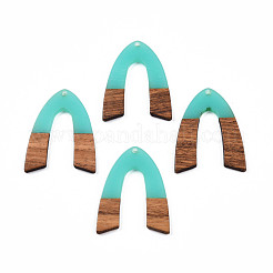 Подвески из прозрачной смолы и ореха&nbsp;RESI-N025-029-C04