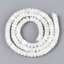 Chapelets de perles de coquille de trochid / trochus coquille&nbsp;BSHE-T014-54A