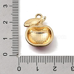 Emaille Anhänger Legierung&nbsp;FIND-B067-03G