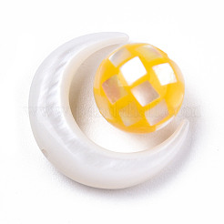 Бусины из натуральных пресноводных ракушек SSHEL-N032-51-A02