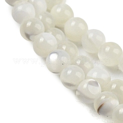 Нити бусин из натуральных трохоидных/трохус ракушек BSHE-Z005-01