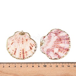 Coquilles Saint-Jacques naturelles gros pendentifs&nbsp;X-SSHEL-N038-12
