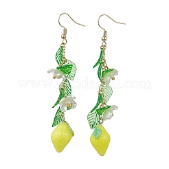 5 пара акриловых сережек-подвесок из нержавеющей стали 304 EJEW-JE05735