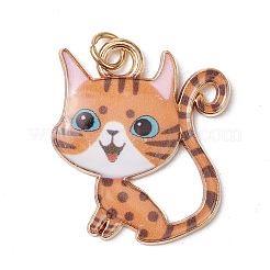 Подвески из эмали и сплава&nbsp;PALLOY-JF03561