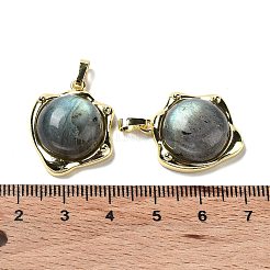 Природные подвески лабрадорита&nbsp;G-G069-01G-06