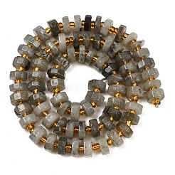 Природные лабрадорита бисер нитей G-F796-A05-01