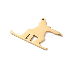 Pendentifs en acier inoxydable 304&nbsp;STAS-S149-06G