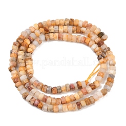 Природные сумасшедший агат бисер нитей&nbsp;G-G345-C04-2x4mm