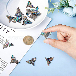 Собранные акриловые и печатные подвески из натуральных пресноводных ракушек FIND-BC0001-50