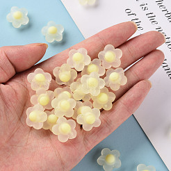 Прозрачные акриловые бусины TACR-S152-09C-07