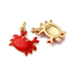 Латунь эмаль подвески&nbsp;KK-CJC0013-10G-RS