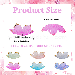 240шт 6 цвета прозрачные акриловые колпачки для бусин&nbsp;TACR-SC0001-44