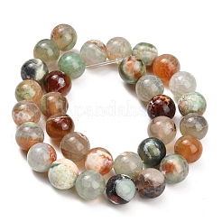Natürliche Feuer Crackle Achat (gefärbt und erhitzt) Perlen Stränge&nbsp;G-K425-A03-12mm