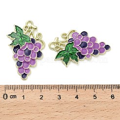 Подвески из эмали и сплава&nbsp;ENAM-F155-02A