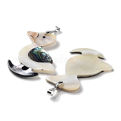 Натуральная ракушка пауа&nbsp;FIND-A041-02E-P