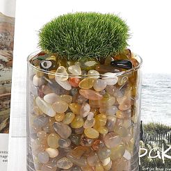 Окрашенные и нагретые натуральные бусины из агата&nbsp;G-J402-04B-06