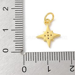 S925 Sterling Silber Micro Pavé Anhänger mit Zirkonia&nbsp;LS-STER-H115-02B-G