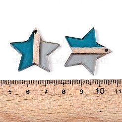 Прозрачные подвески из смолы и дерева RESI-T057-62A