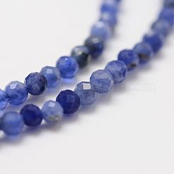 Fili di perline di sodalite di grado naturale&nbsp;LS-G-G663-21-2mm