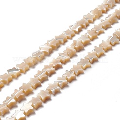 天然トロチッドシェル/トロカスシェルビーズ  スター  ナバホホワイト  8x8.5x2.5~3mm  穴：0.8mm  約55個/連  15.55インチ（39.5cm）&nbsp;SSHEL-O001-25B-01