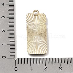 エナメルペンダントと合金  搭乗券チャーム  ライトゴールド  ブラック  33x14x1mm  穴：2.5mm&nbsp;LS-AL-CBA91FD-01F