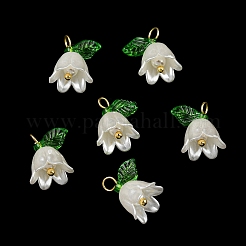 Акриловые подвески OACR-D012-01C