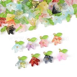 50шт прозрачные акриловые подвески PALLOY-FS00043-02