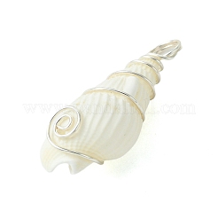 Кулоны из натуральных ракушек PALLOY-JF02794-02