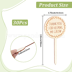 Holzpflanzenetiketten&nbsp;DIY-GF0014-39B