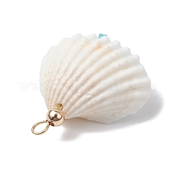 Подвески в виде морских звезд и ракушек из бисера в форме цилиндра&nbsp;PALLOY-MZ00547-06