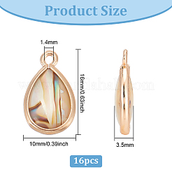 16 шт. подвески из натуральной ракушки пауа&nbsp;SHEL-BC0001-030