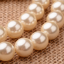 Lucidato grado rotondo un guscio di perle fili di perline, giallo oro chiaro, 6mm, Foro: 1 mm, circa 64pcs/filo, 15.7 pollice