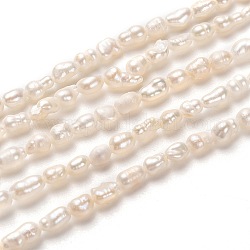 Hebras de perlas de agua dulce cultivadas naturales, arroz, blanco, 5~7x3~4mm, agujero: 0.6 mm, aproximamente 65 pcs / cadena, 13.39 pulgada (34 cm)