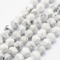 Natural Howlite Beads Strands, Star Cut Round Beads, Faceted, 10~10.5mm, Hole: 1mm, about 37~40pcs/strand, 15.5~15.7 inch(39.5~40cm)