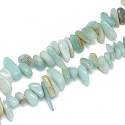 Chapelets de perles en amazonite naturelle, puce, 10~30x5~10x3~9mm, Trou: 1mm, Environ 65~85 pcs/chapelet, 14.9 pouce