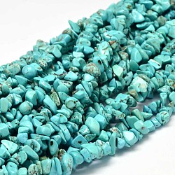 Brins de perles de howlite naturelles teints en copeaux, turquoise foncé, 5~14x5~10mm, Trou: 1mm, environ 33.85 pouce