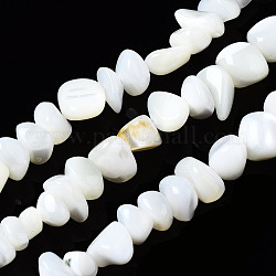 Chapelets de perles de coquille de trochid / trochus coquille, eau de Javel, chips de pépites, couleur de coquillage, 3.5~13x6~12x3~8mm, Trou: 0.9mm, Environ 68~73 pcs/chapelet, 15.35 pouce ~ 15.94 pouces (39~40.5 cm)