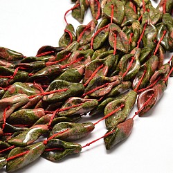 Natural Unakite Bead Strands, Calla Lily, 26~30x14~18x9mm, Hole: 1mm, about 13pcs/strand, 16inch