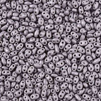 Выпечка краска стеклянные бусины SEED-T006-03Z-1