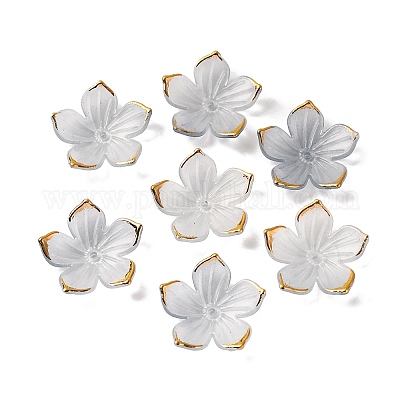 Transparentes bouchons acrylique de perles&nbsp;TACR-P011-03D-1