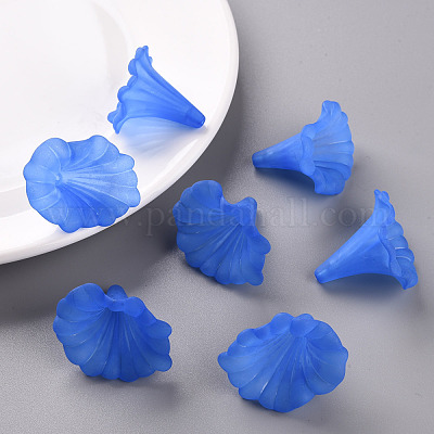 Прозрачные акриловые бусины BSF796-C05-1